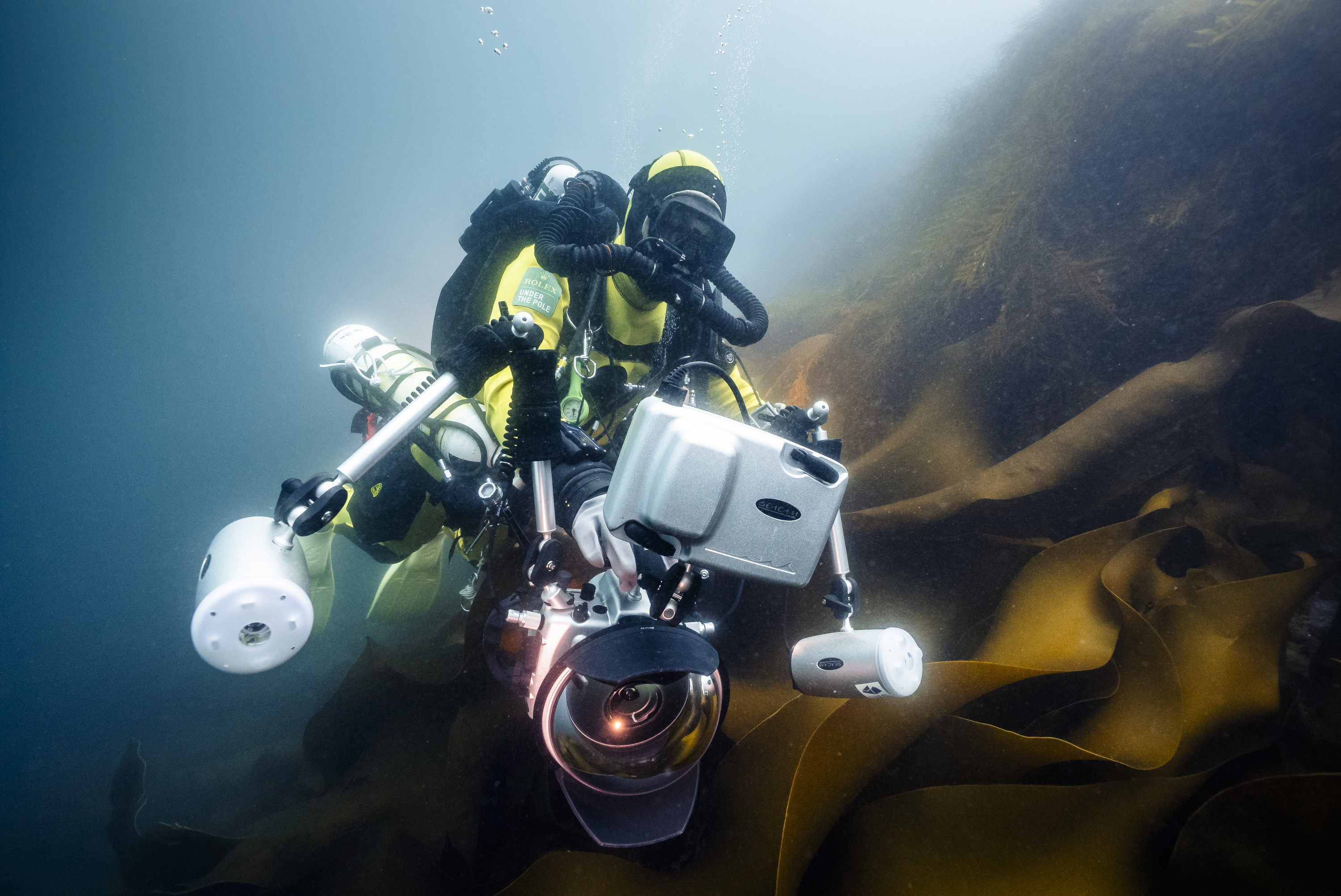 Tauchen in der Antarktis